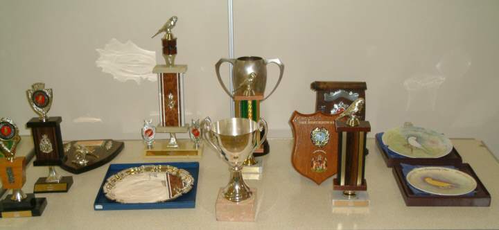 DSCF0002.jpg (23382 bytes)