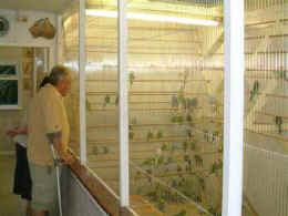 DSCF0019.jpg (15479 bytes)