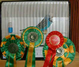 DSCF0021.jpg (20129 bytes)