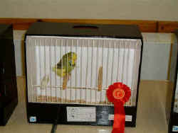 DSCF0065.JPG (52593 bytes)