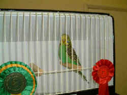 DSCF0067.JPG (56176 bytes)