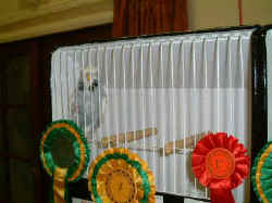 DSCF0070.JPG (59953 bytes)